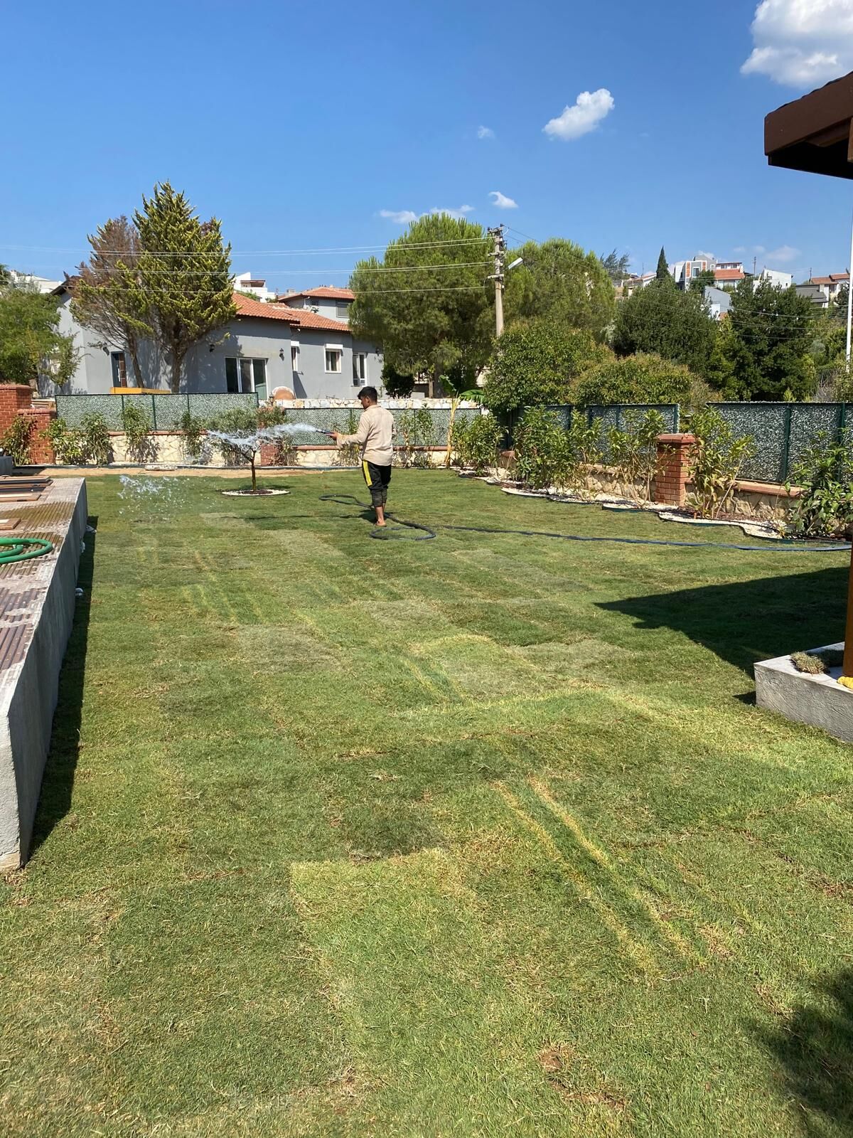 Urla peyzaj uygulaması — yeni serilen çim ve sulanan bahçe